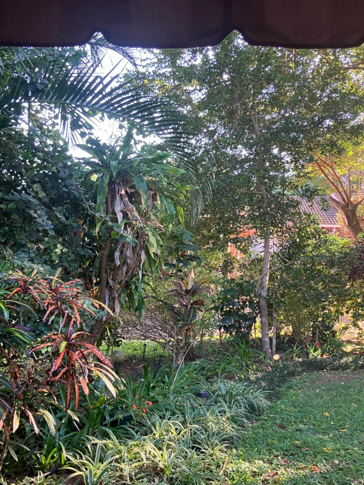 Saint Lucia EstuaryEl Seuno De Africa -The Dream Of Africa别墅 外观 照片
